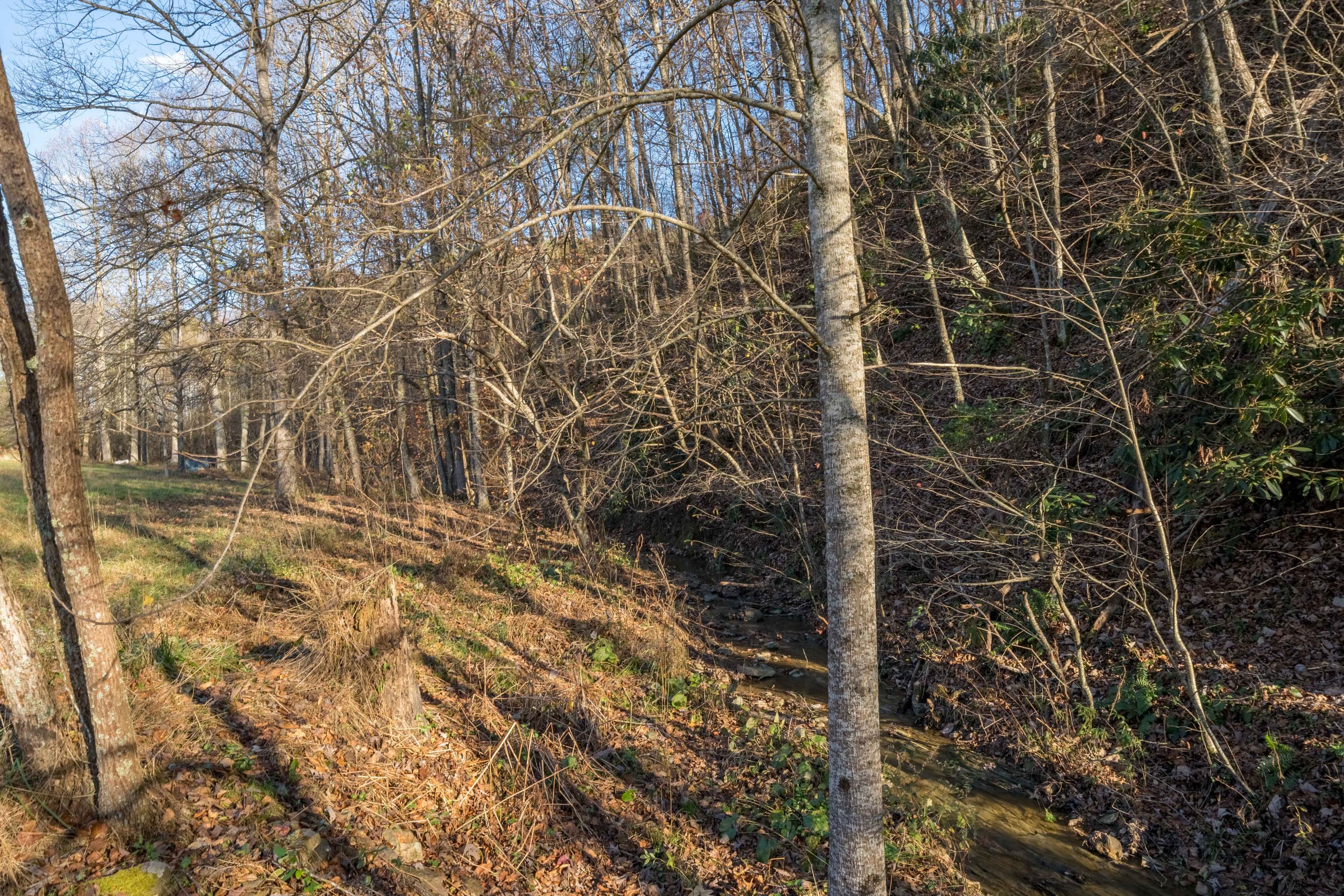 8566 Mendota Road Mendota, VA 24270 - Photo 16 of 48 8566 Mendota Rd (16 of 48)