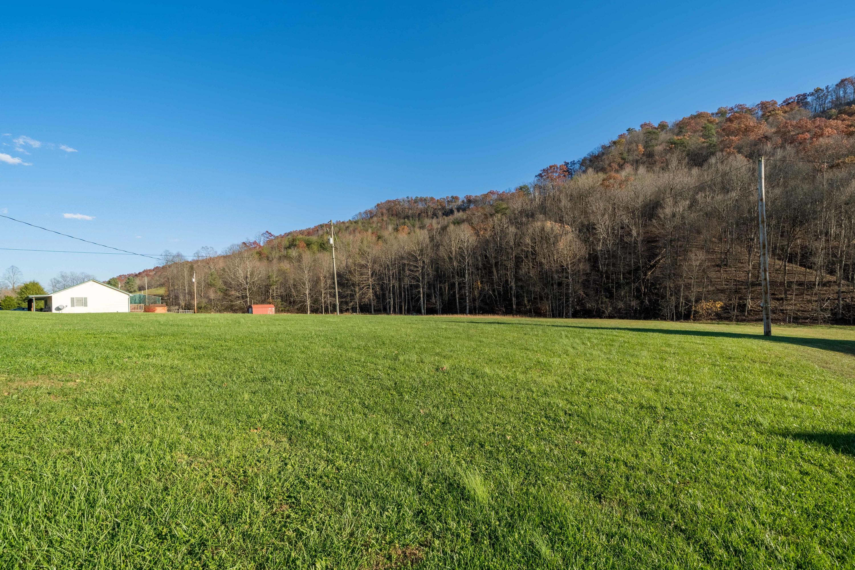 8566 Mendota Road Mendota, VA 24270 - Photo 23 of 48 8566 Mendota Rd (23 of 48)