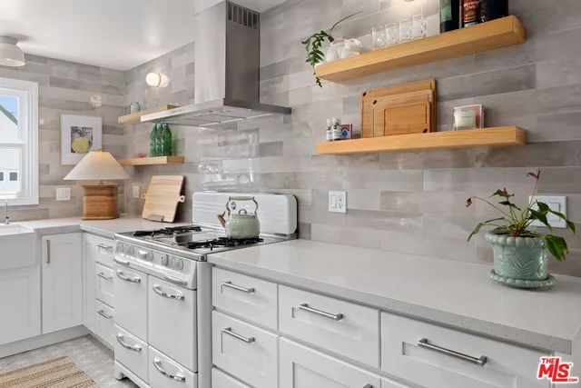 a kitchen with a white cabinets and a potted plant