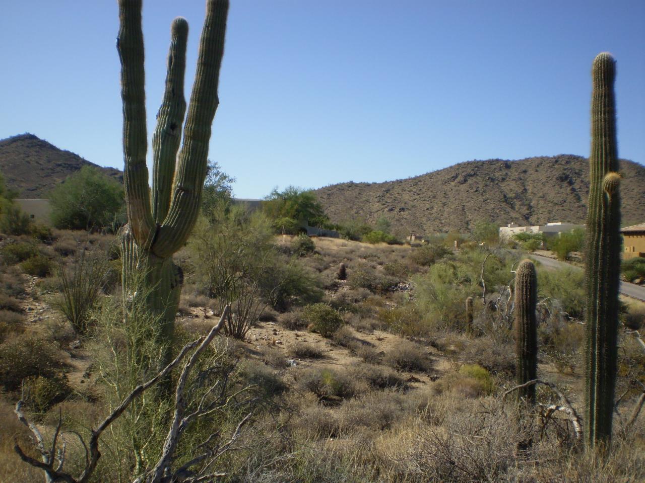 24200 North Alma School Road, Unit 25D Scottsdale, AZ 85255 - Photo 4 of 5 Views