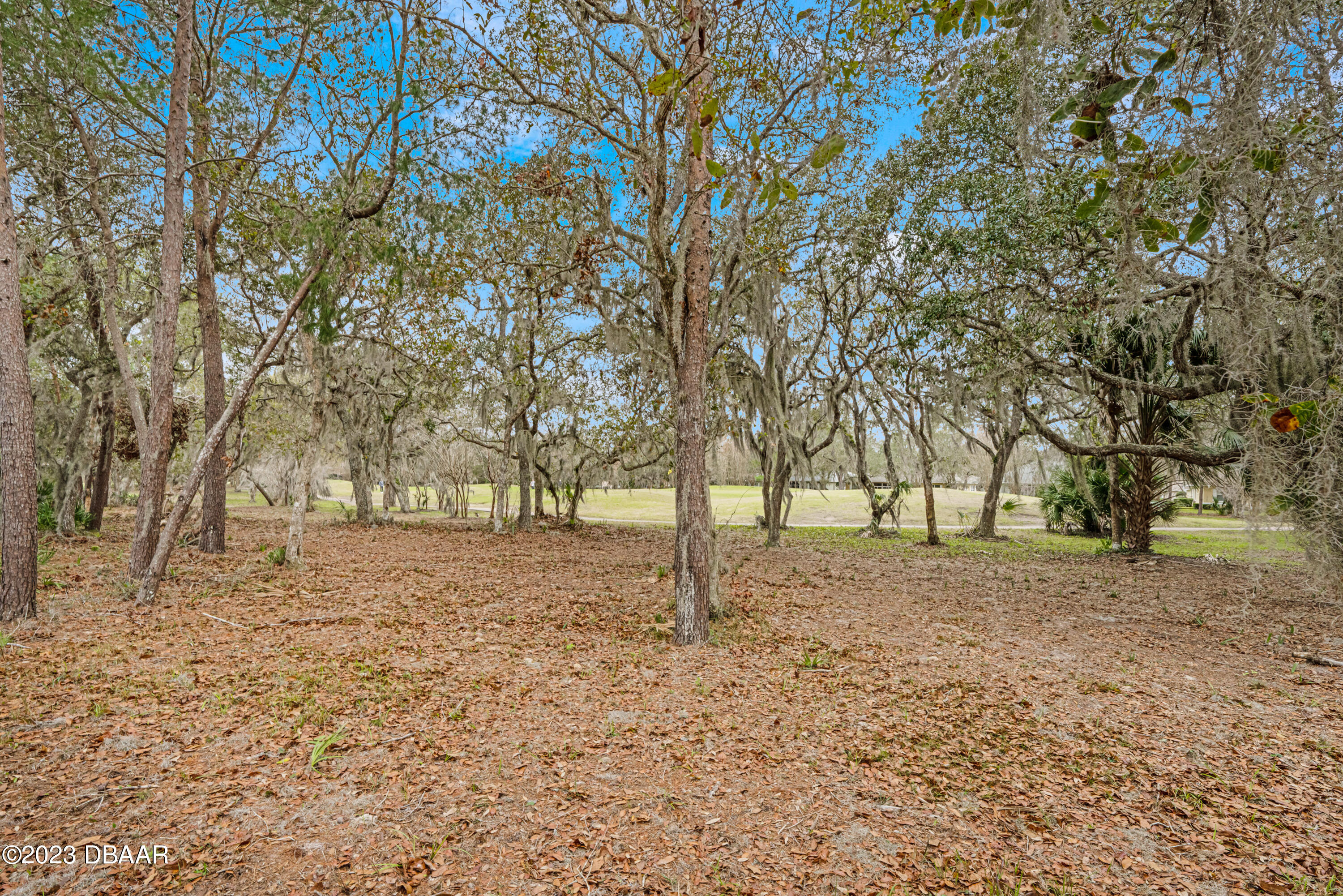 3126 Silvermines Avenue Ormond Beach, FL 32174 - Photo 26 of 39 16th Green with Tree Buffer