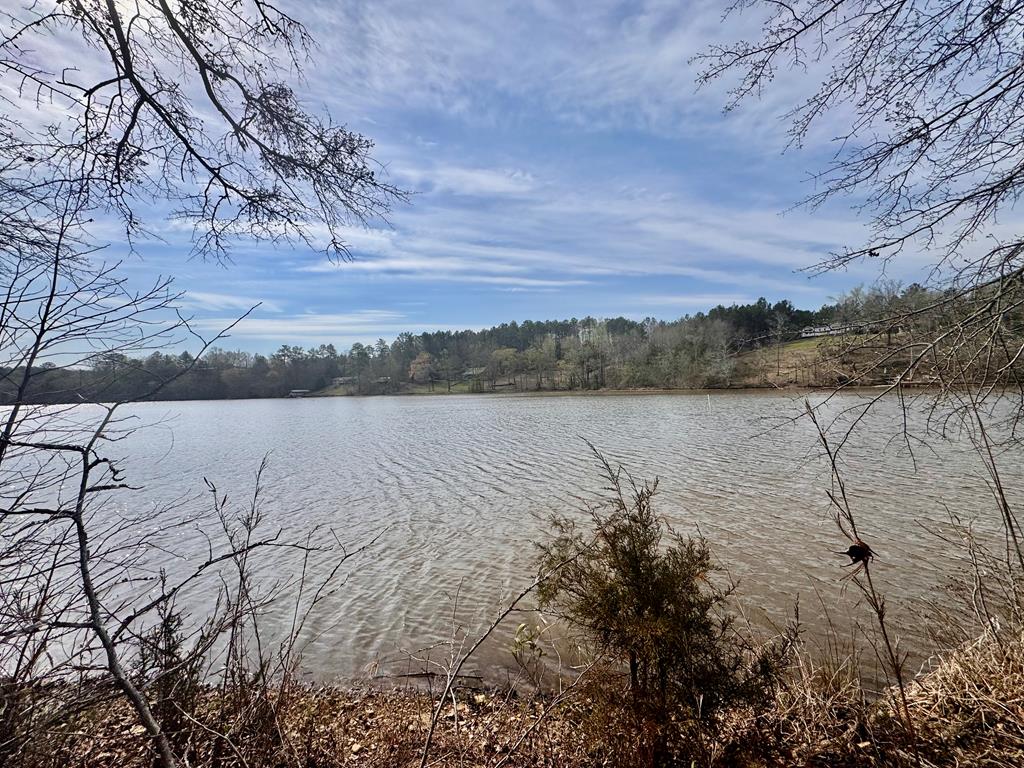 517 Terrapin Pointe Road Hodges, SC 29653 - Photo 25 of 29