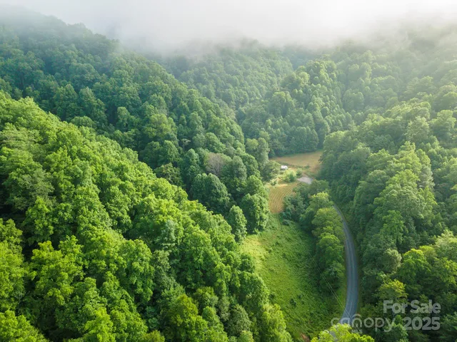 an aerial view of residential houses with outdoor space and trees