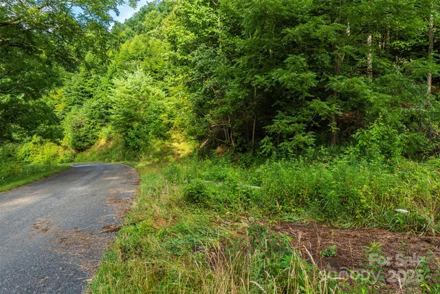 a view of a large yard with lots of green space