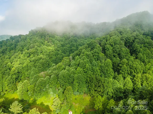 a view of a lush green field