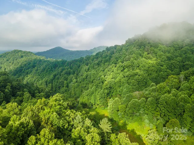 a view of a city with lush green forest