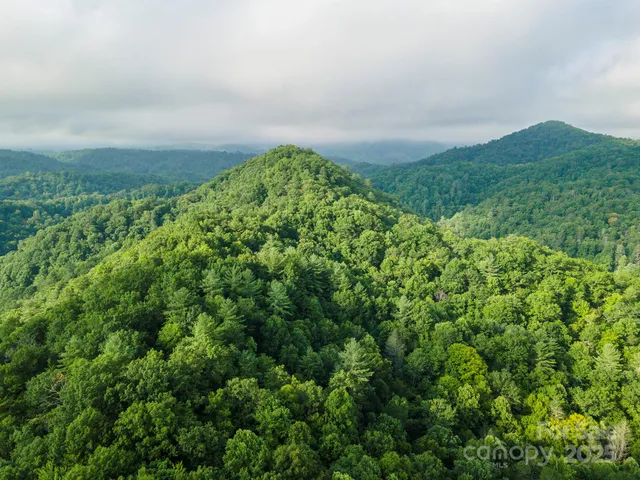 a view of a big yard with lots of green space and deers