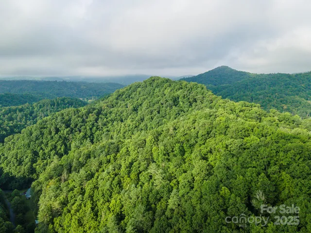 a view of a green field with lots of bushes