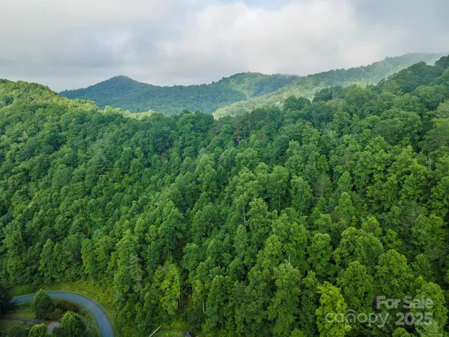 a view of a mountain range with lush green forest