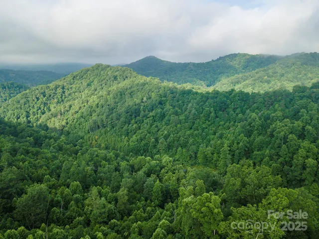 a view of a lush green hillside and a mountain view
