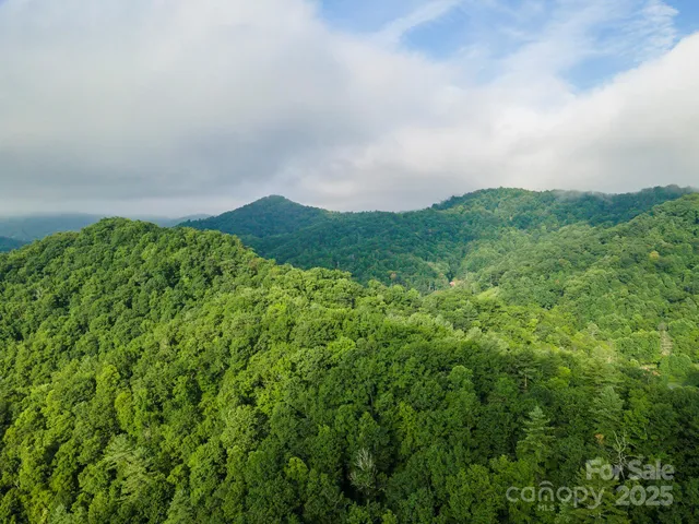 a view of yard with green space