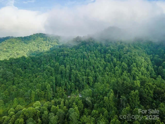 a view of a field of grass and trees