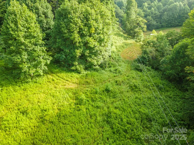 a view of a lush green space