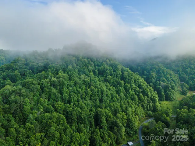 $258,900 | 99999 Renfro Rd Green Mountain, Green Mountain, NC 28740