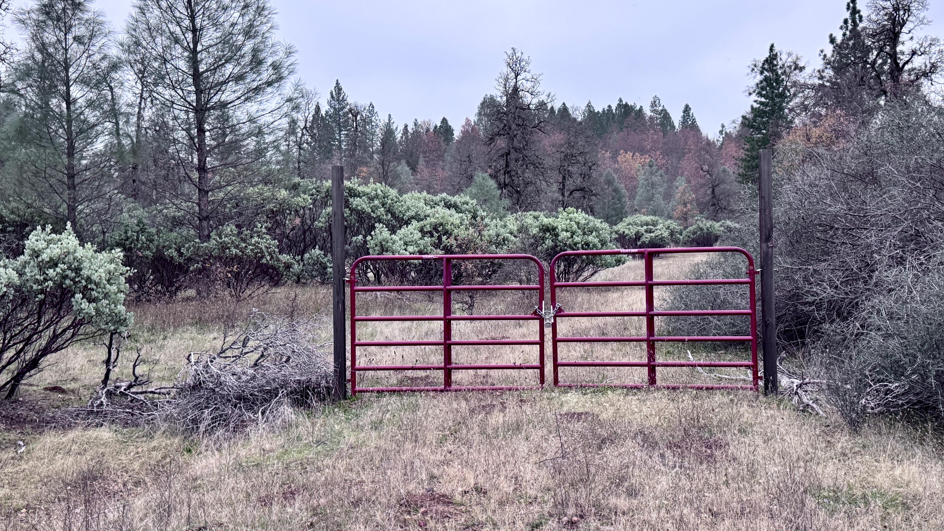 15.77 Acres Dittman Road Montgomery Creek, CA 96065 - Photo 1 of 26 FullSizeRender