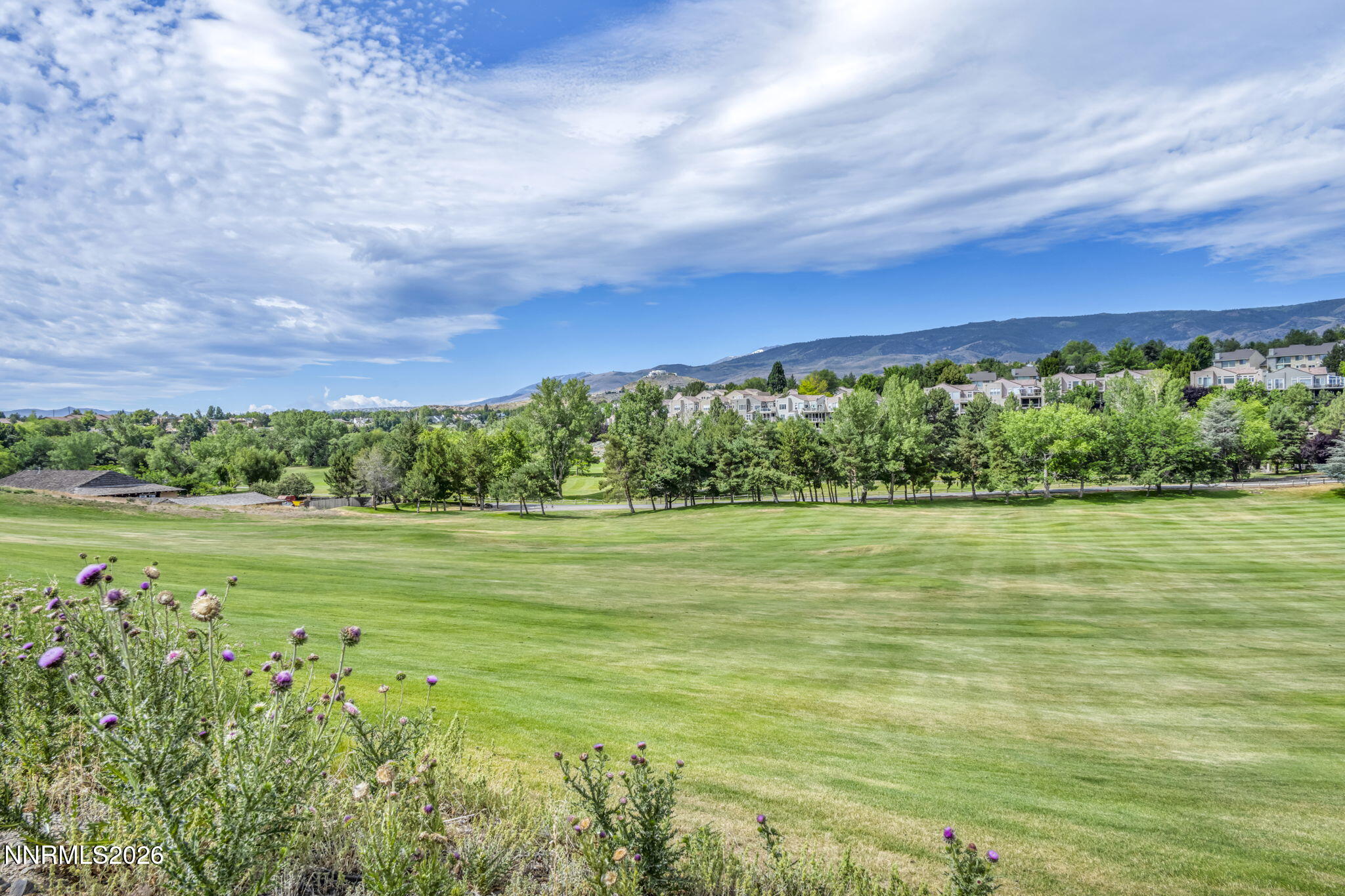 6008 Kelly Heights Way Reno, NV 89519 - Photo 31 of 45 23-web-or-mls-6008-kelly-hts-wy