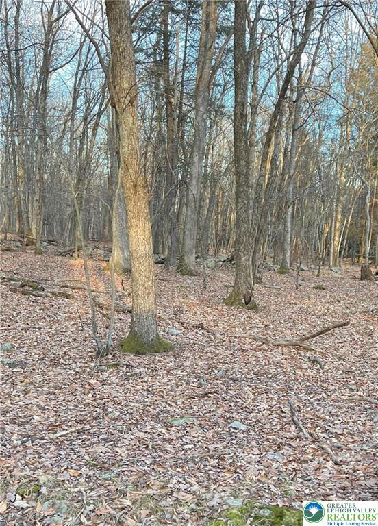 a view of a yard with trees
