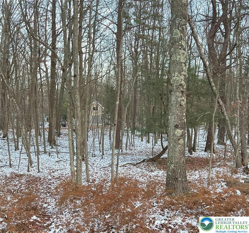 80 Spokane Road Albrightsville, PA 18210 - Photo 2 of 5 a view of outdoor space with trees