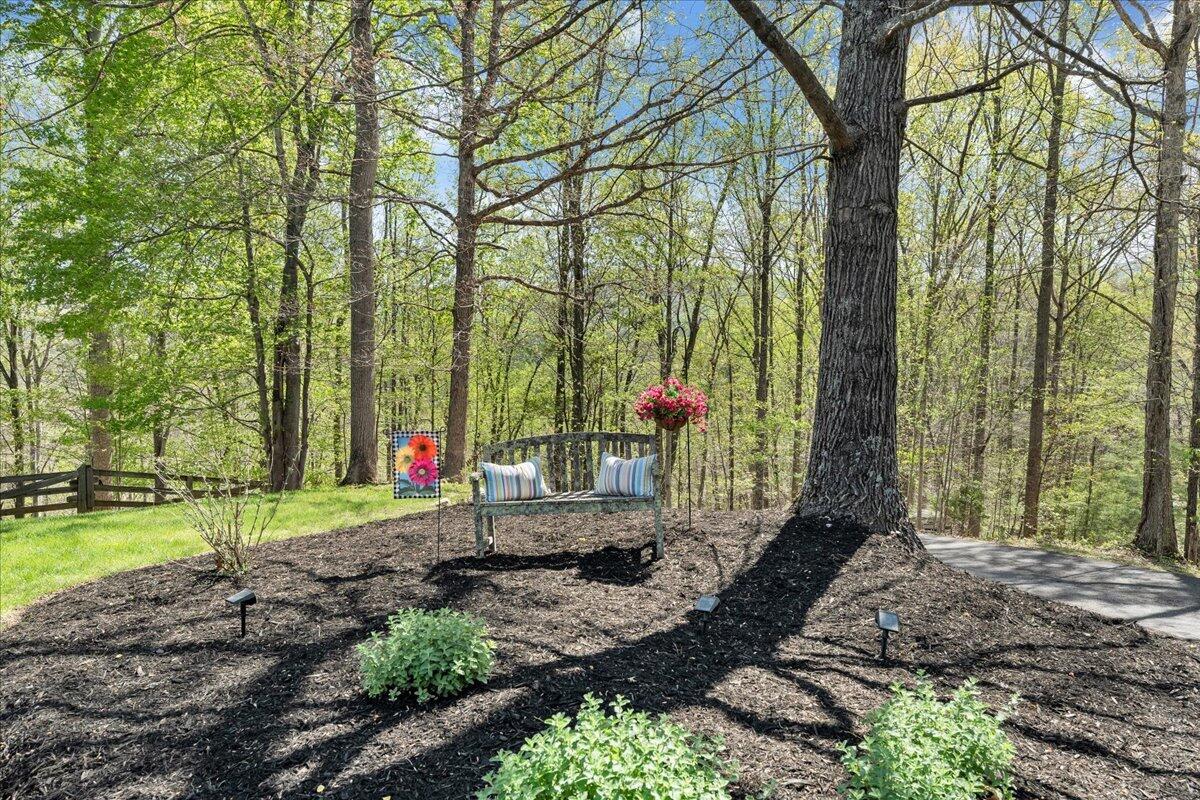 6190 Back Creek Road Boones Mill, VA 24065 - Photo 58 of 93 058-MIB06994