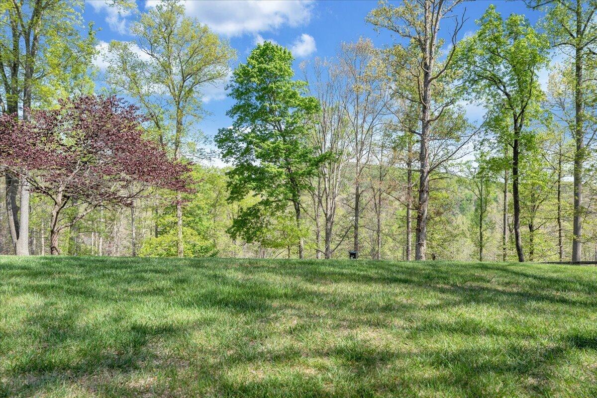 6190 Back Creek Road Boones Mill, VA 24065 - Photo 60 of 93 060-MIB07012