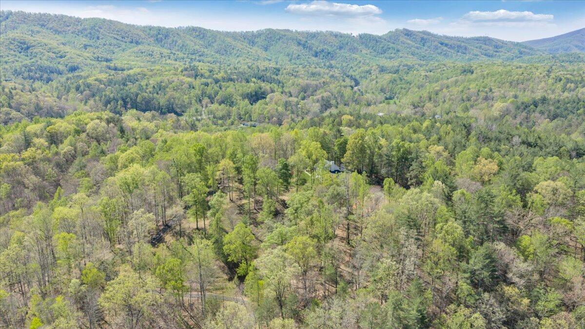 6190 Back Creek Road Boones Mill, VA 24065 - Photo 81 of 93 081-DJI_20260415112956_0001_D