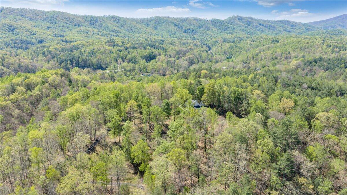 6190 Back Creek Road Boones Mill, VA 24065 - Photo 82 of 93 082-DJI_20260415113049_0002_D