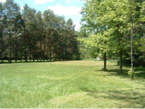 34 Billygoat Road Windsor, NY 13865 - Photo 4 of 4 Gallery Image 4