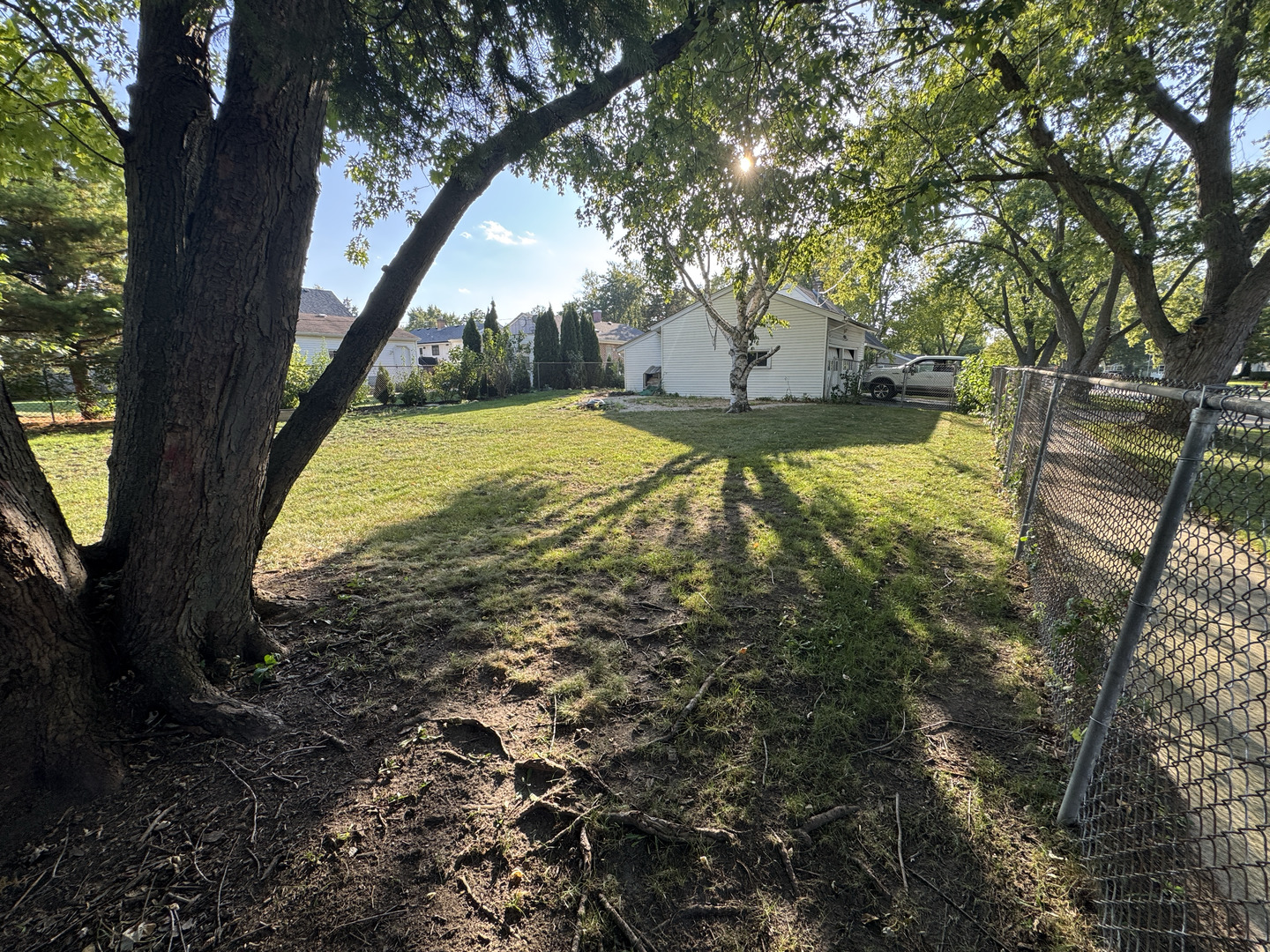 709 West Glencoe Road Palatine, IL 60067 - Photo 19 of 19 a view of yard with large trees