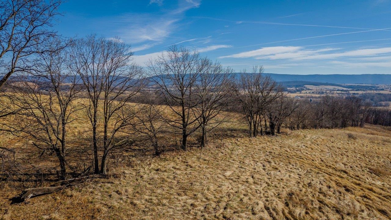 15854 Forestville Road Timberville, VA 22853 - Photo 34 of 37