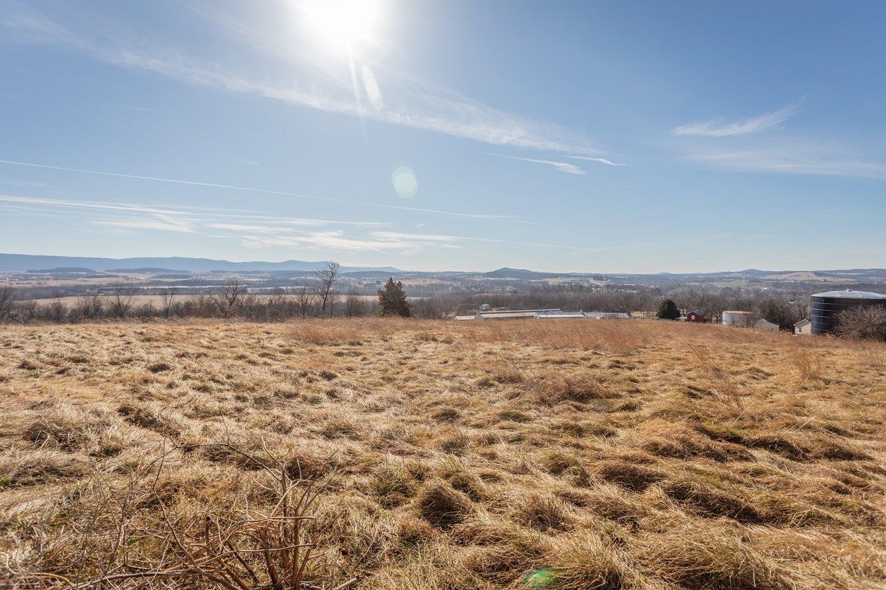 15854 Forestville Road Timberville, VA 22853 - Photo 4 of 37