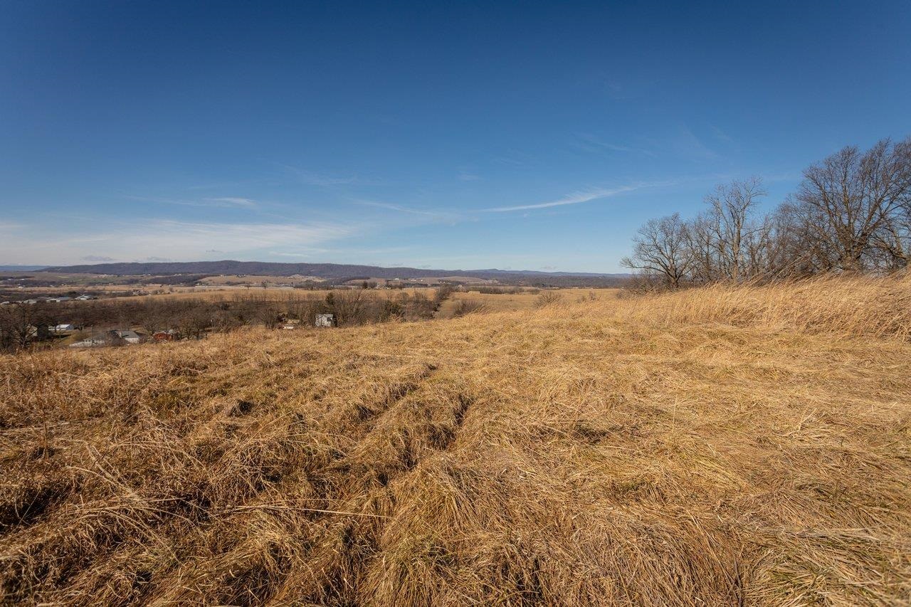 15854 Forestville Road Timberville, VA 22853 - Photo 5 of 37