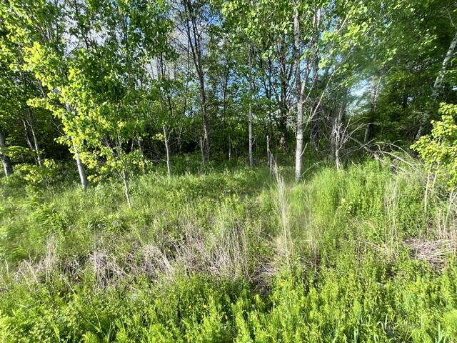 435 Lebanon Road Winterport, ME 04496 - Photo 7 of 10 lester6