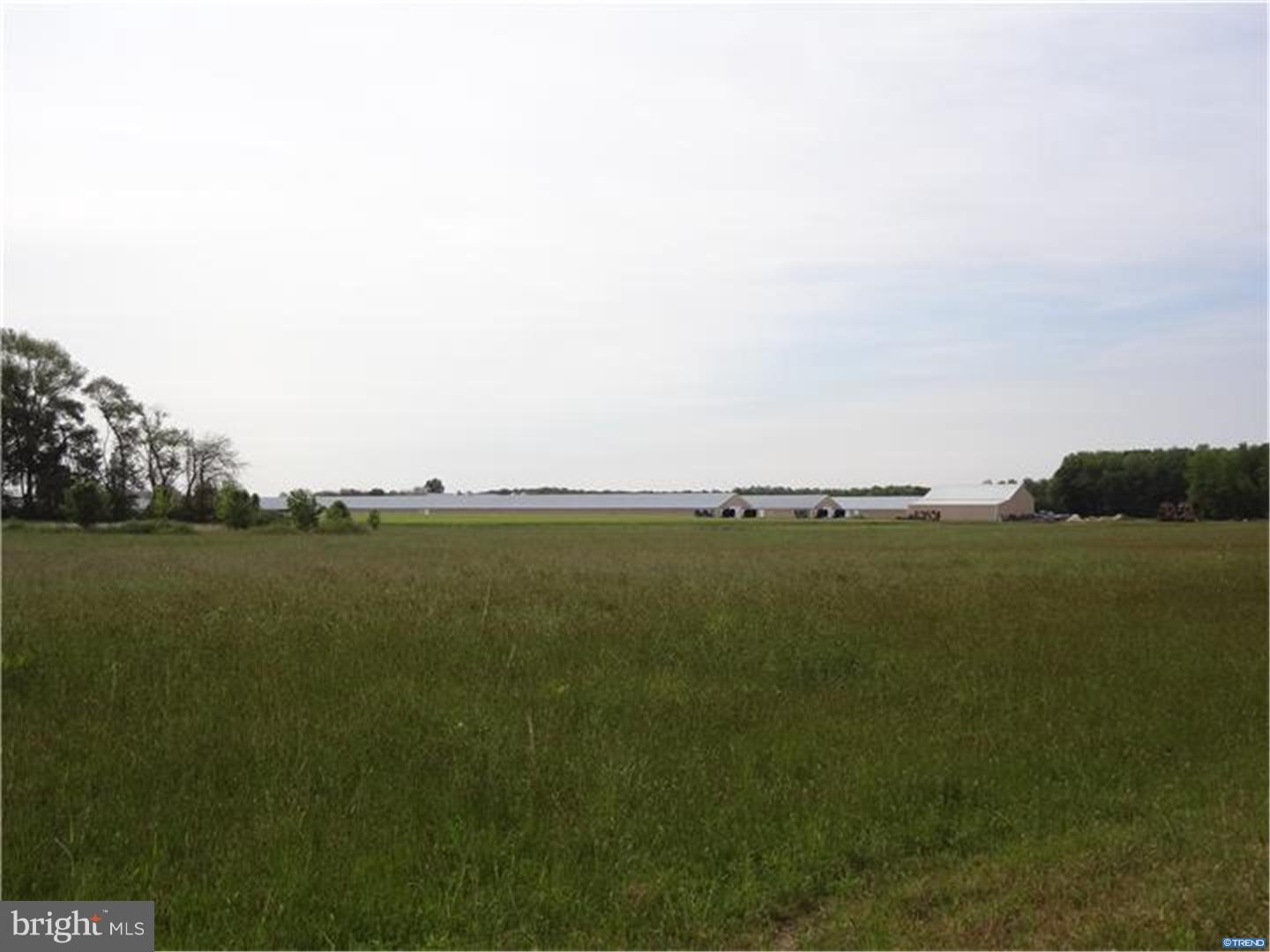 0 Bryants Corner Road Hartly, DE 19953 - Photo 15 of 16 Gallery Image 15