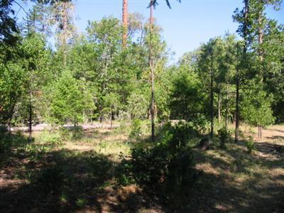 13594 Water Gap Road Williams, OR 97544 - Photo 2 of 11 Additional Photo