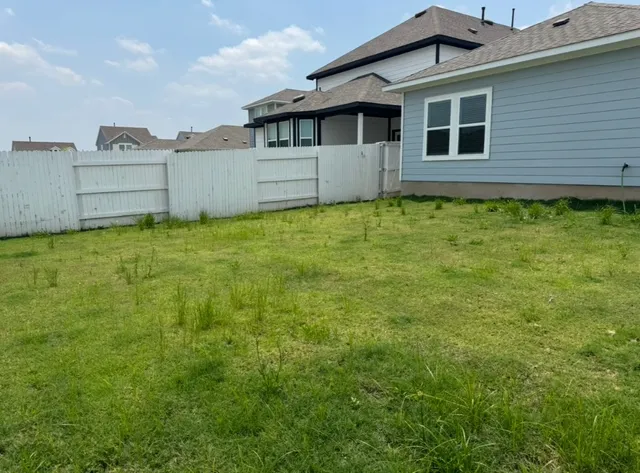 a view of a backyard