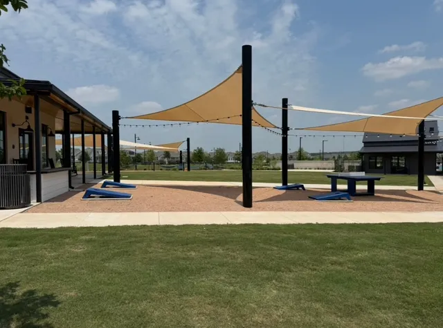 a park with tall trees