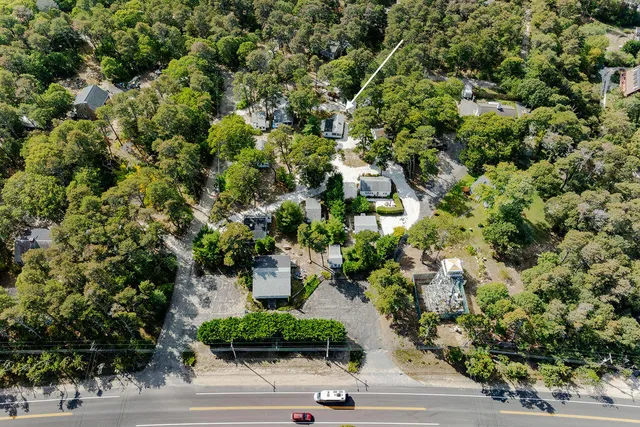 a view of a garden with plants