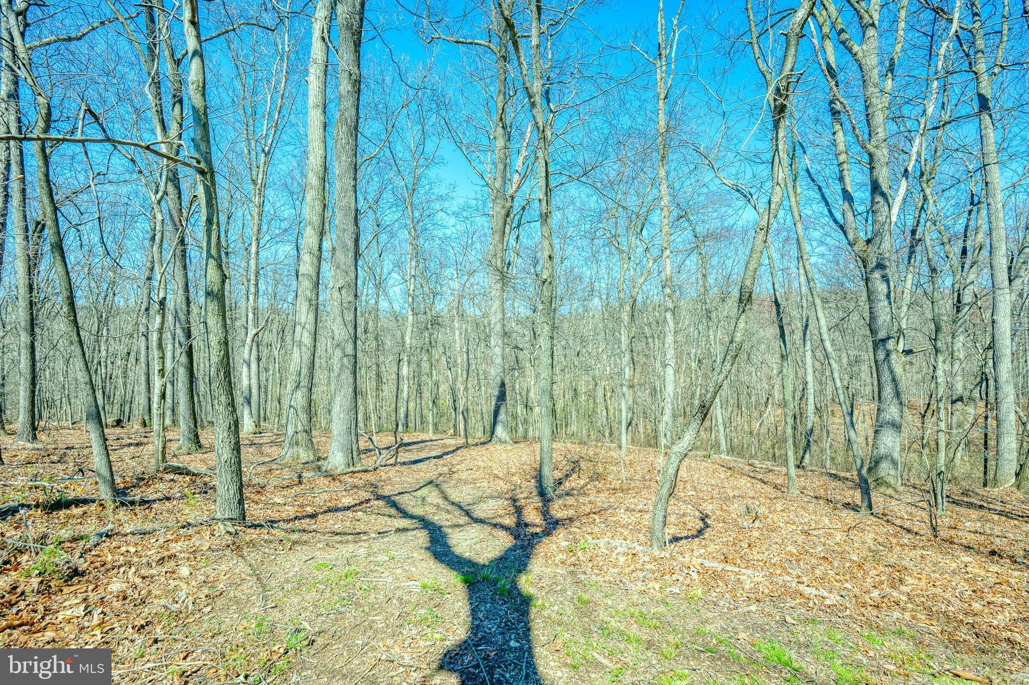 2820 Garrett Road White Hall, MD 21161 - Photo 50 of 77