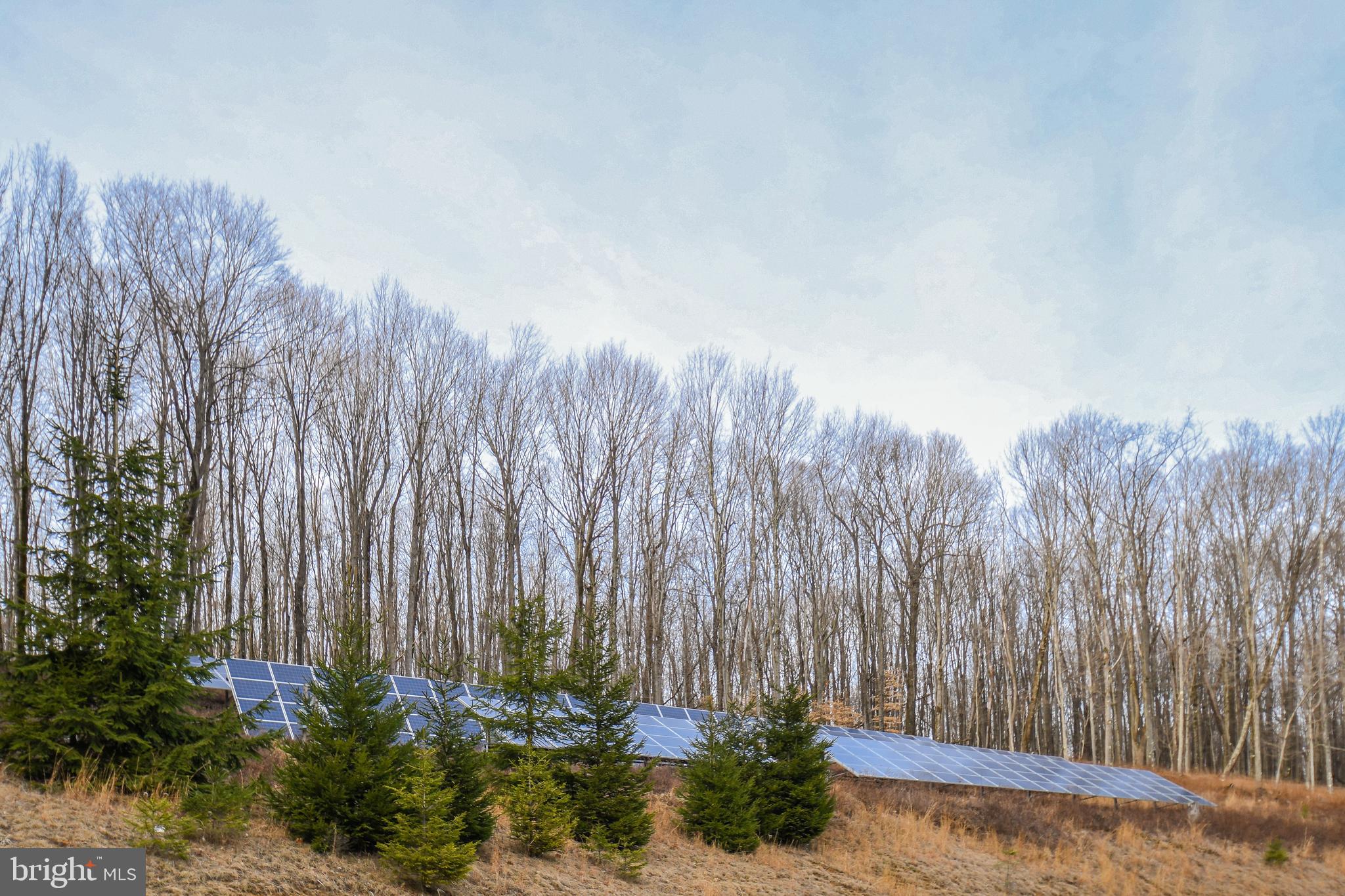 1600 Mt Aetna Road Frostburg, MD 21532 - Photo 21 of 97