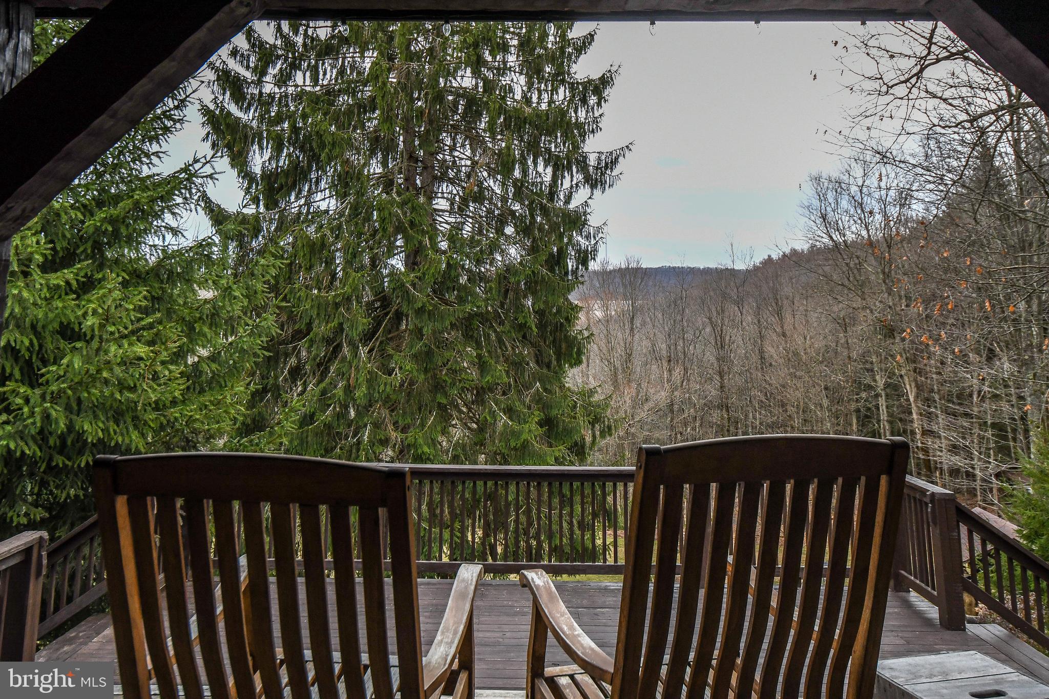 1600 Mt Aetna Road Frostburg, MD 21532 - Photo 33 of 97