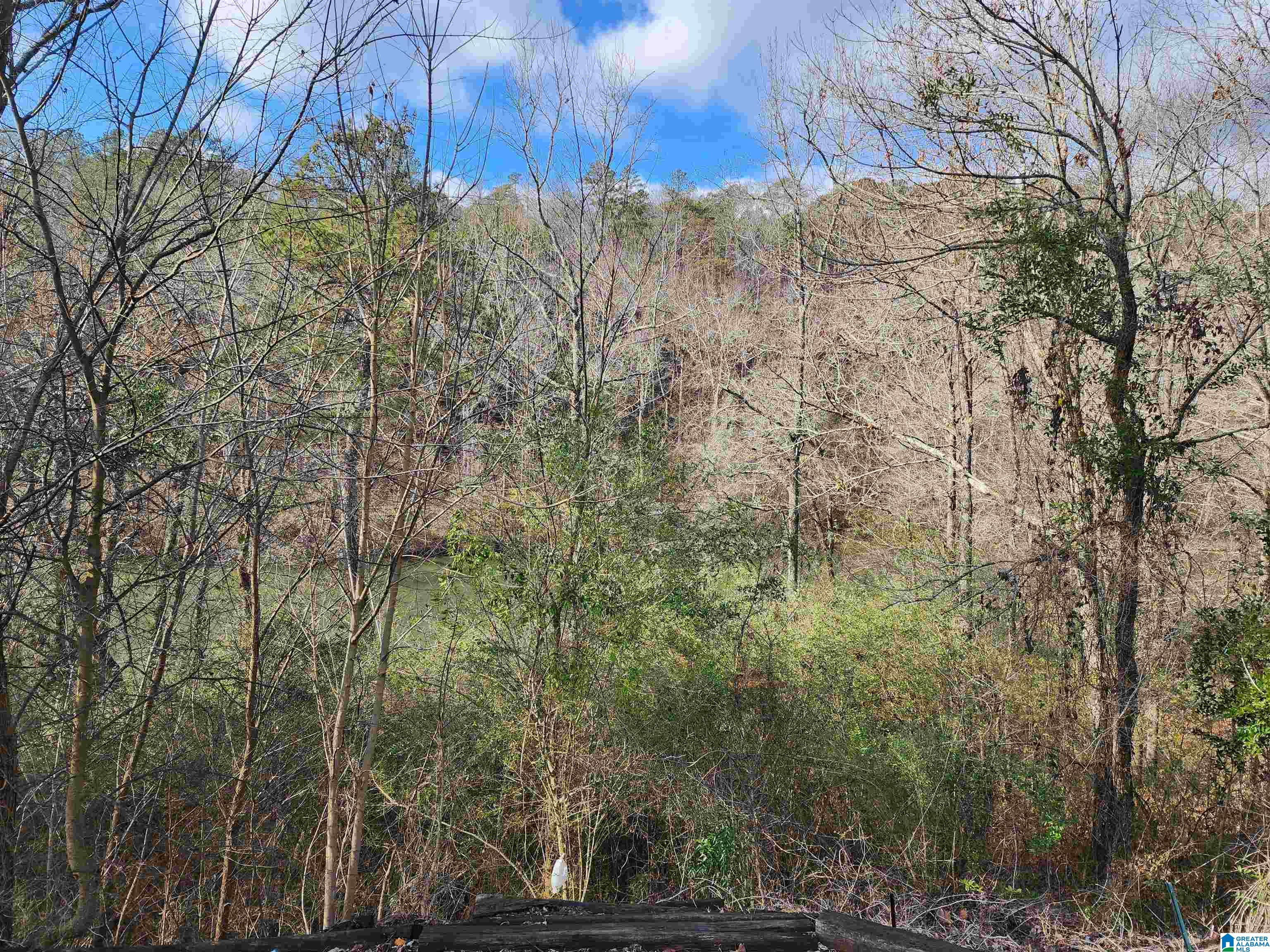 16059 Highway 160 Cleveland, AL 35049 - Photo 31 of 32