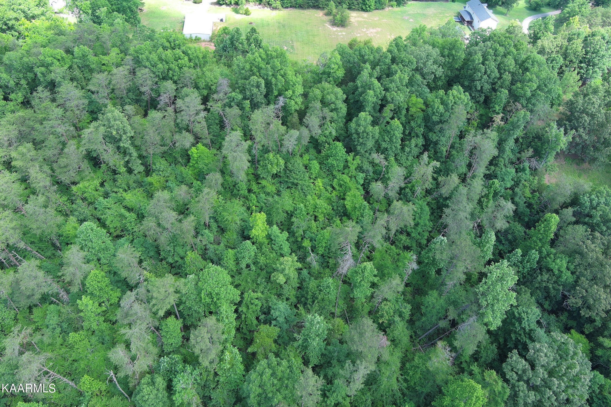 715 Deaderick Road Knoxville, TN 37920 - Photo 16 of 22 Gallery Image 16
