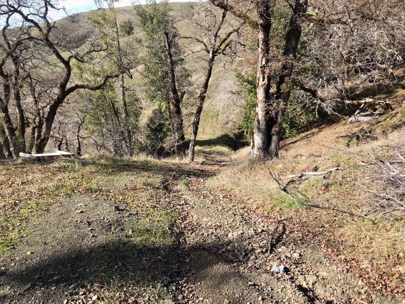0 Cemetery Road Blocksburg, CA 95514 - Photo 9 of 11