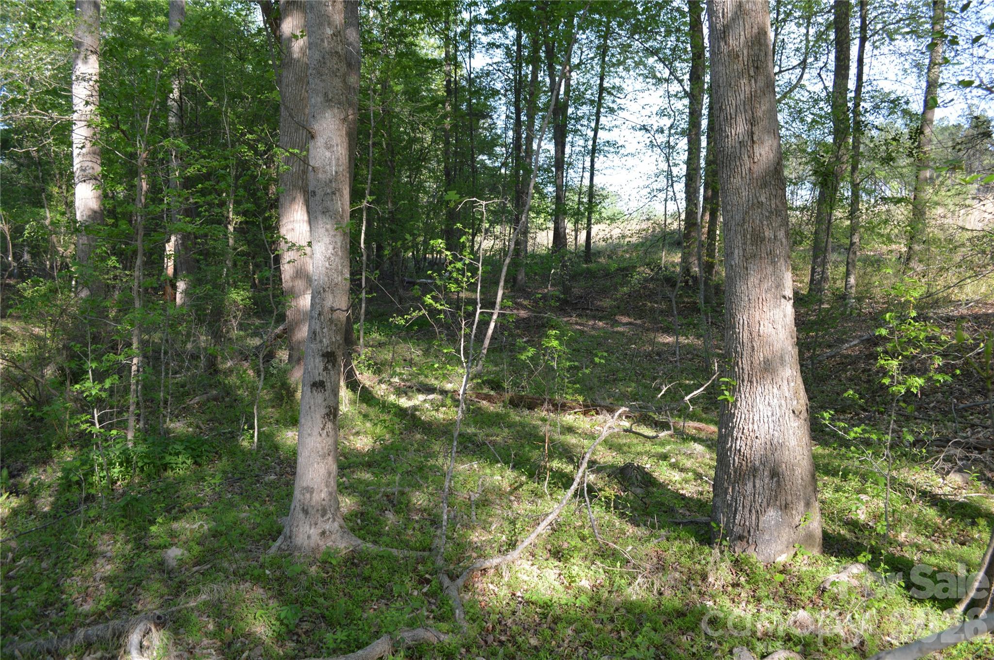 0 Peter Hawk Creek Road, Unit 10 Jonesville, SC 29353 - Photo 12 of 25