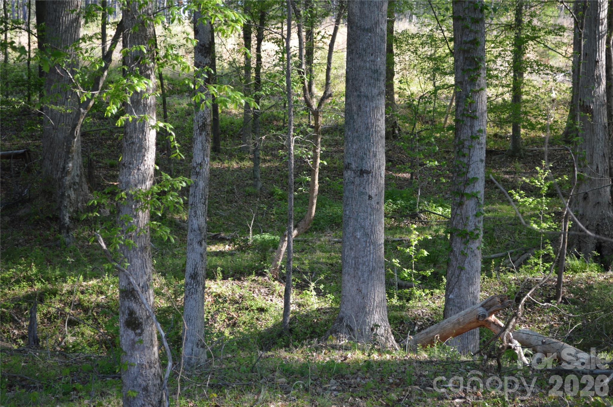 0 Peter Hawk Creek Road, Unit 10 Jonesville, SC 29353 - Photo 13 of 25