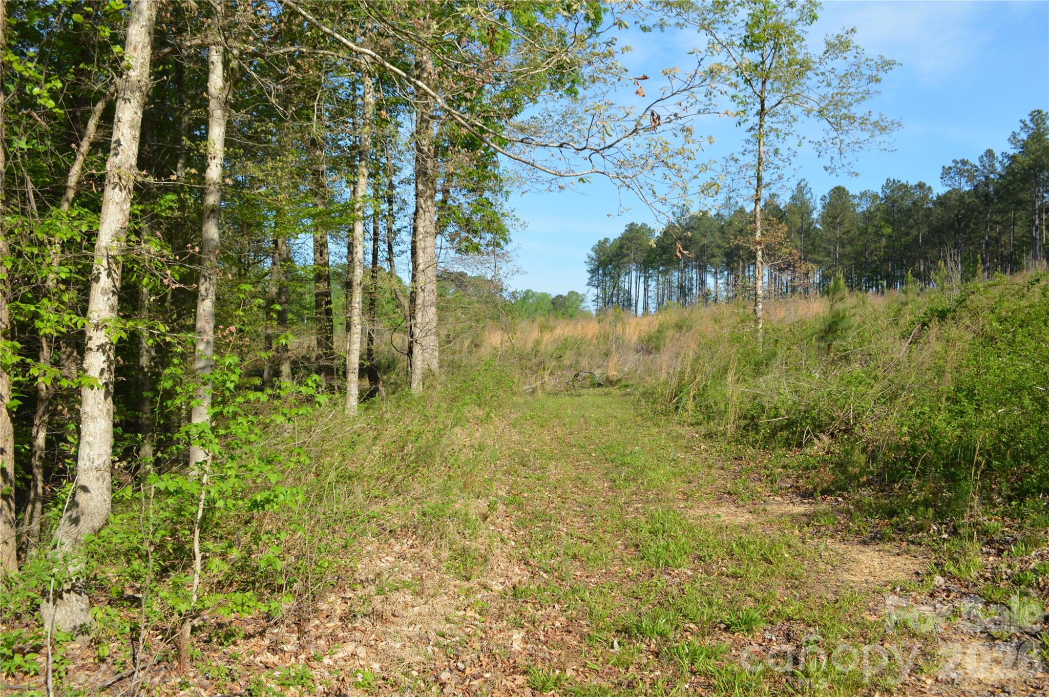 0 Peter Hawk Creek Road, Unit 10 Jonesville, SC 29353 - Photo 14 of 25