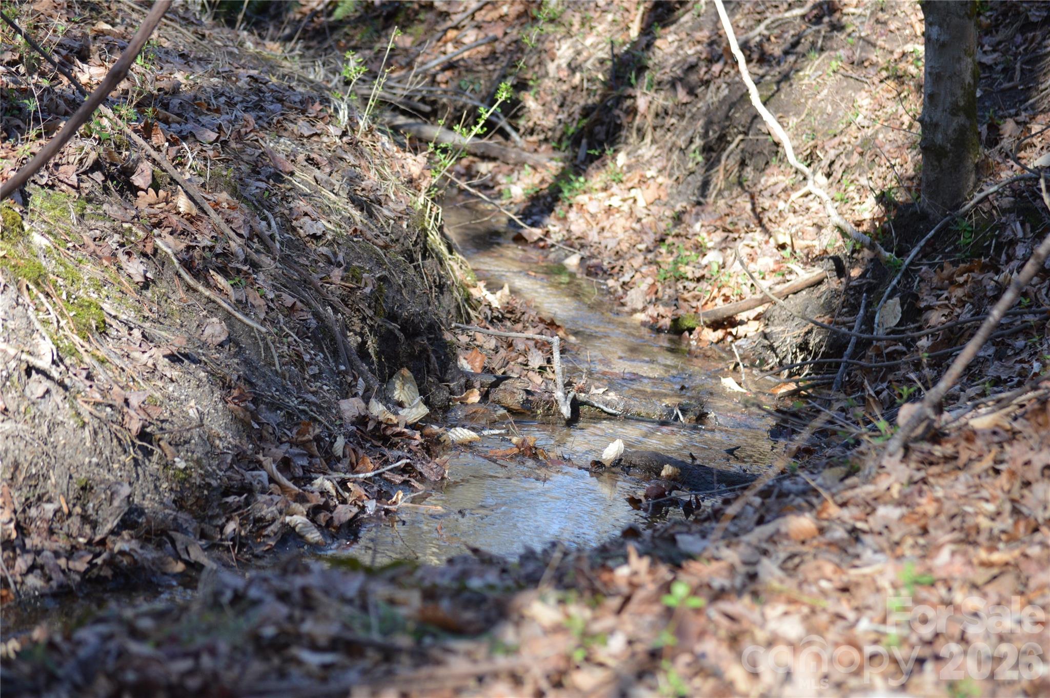 0 Peter Hawk Creek Road, Unit 10 Jonesville, SC 29353 - Photo 14 of 25