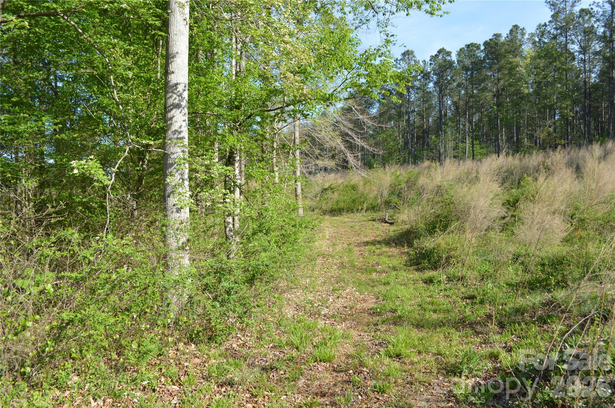 0 Peter Hawk Creek Road, Unit 10 Jonesville, SC 29353 - Photo 15 of 25