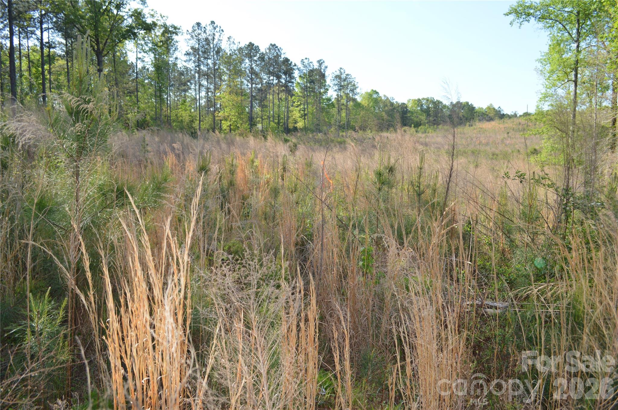 0 Peter Hawk Creek Road, Unit 10 Jonesville, SC 29353 - Photo 16 of 25 a view of a lake with a yard and large trees