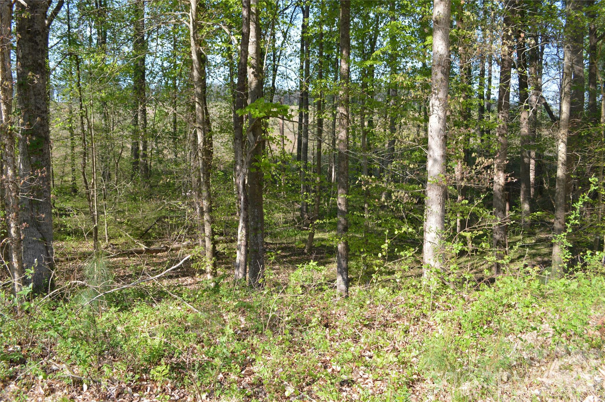 0 Peter Hawk Creek Road, Unit 10 Jonesville, SC 29353 - Photo 17 of 25